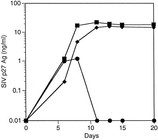 Fig. 6. Inhibition of SIV replication in macrophage-like cells derived from CD34+ cells transduced with the 9456 ribozyme. CD34+ cells were transduced with a retroviral vector containing either the 9456 ribozyme (•) or, as controls, the LNL6 vector (▪) or the HIV-1–specific ribozyme MJT (♦). After transduction, the macrophage-like cells were derived as described in the legend for Fig 5 and challenged with SIVmac316 using an MOI of 10−2 TCID50 /cell.