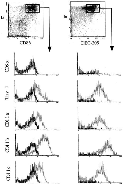 Fig. 4. Immunofluorescence analysis on murine Lin−c-kit+ HPCs cultured for 14 days in the presence of mouse TNFα, GM-CSF, and SCF. Three-color immunofluorescence analyses were performed as described in the Materials and Methods on the cultured HPCs at day 14. The indicated FITC-labeled MoAbs (CD8, Thy-1, CD11a, CD11b, and CD11c) were used to demonstrate the phenotype characteristics of the generated dendritic cells by gating on Ia+DEC-205+ or Ia+CD86+ cell population. Solid and dotted lines indicate the immunofluorescence intensity of cells stained with a control and the test antibodies, respectively. Representative results from three independent experiments are shown.