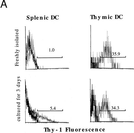 Fig. 5. The expression of Thy-1 antigen and its mRNA in thymic DCs, splenic DCs, and DCs generated from Lin−c-kit+ HPCs.Ia+CD11c+CD3−CDB220−Gr-1−NK1.1−TER-119− thymic and splenic DCs were highly purified by sorting them from low-density thymocytes and splenocytes after centrifuging on 14.5% metrizamid medium. The expression of Thy-1 antigen was reanalyzed on either freshly isolated or cultured thymic and splenic DCs upon stimulation with GM-CSF + mouse TNFα for 3 days. The percentage of Thy-1+ cells is indicated in the histograms (A). Thy-1 mRNA was examined in the indicated cells using RT-PCR (B). Total RNAs were extracted from 1 × 105 cells of splenocytes, thymocytes, splenic DCs, thymic DCs, and Lin−c-kit+ HPC-derived DCs. DCs generated from Lin−c-kit+ HPCs were further sorted into Thy-1+ and Thy-1− subpopulations. The β-actin transcripts were used as control (B). Similar experiments were performed three times and representative results are shown here.