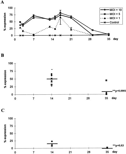 Fig. 4. Time course of β-galactosidase activity during T lymphopoiesis. (A) CD34+CD2− cells were transduced at MOIs of 10, 5, and 1 or were mock-transduced with an equivolume of medium (control). Two samples were taken at each time point and independently incubated with X-gal at 150 μg/mL, and the number of cells staining positively was enumerated. Data are mean values ± SEM of triplicate readings in a representative experiment. Data from seven independent experiments were analyzed after 14 days or 35 days to compare expression of β-galactosidase after infection with rAAV at (B) MOI = 10 or (C) MOI = 1. Mean values are denoted by a straight line and P values were calculated using a two-tailed unpaired t-test.