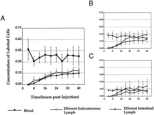 Fig. 1. Normalized concentration of labeled cells in blood, efferent subcutaneous lymph, and efferent intestinal lymph after intravenous injection. Figure 1 depicts the distribution of labeled PBLs (A), subcutaneous ELLs (B), and intestinal ELLs (C) in blood, efferent subcutaneous lymph, and efferent intestinal lymph after reinjection. The absolute concentration of labeled cells in each tissue at each time point was divided by the number of cells injected and then multiplied by 109 to give a percentage of labeled cells/109 injected at each point. The results were then pooled between all experimental animals (labeled PBLs, n = 6; labeled subcutaneous ELLs, n = 3; labeled intestinal ELLs, n = 3; all values ± SEM).