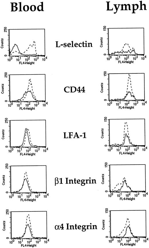 Fig. 3. Expression of adhesion molecules on labeled PBLs and labeled TDLs recovered from efferent lymph or blood 8 days after labeling and intravenous reinjection. (——) PBLs; (- - -) TDLs. Data from 1 of 3 animals are shown.