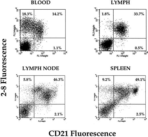 Fig. 5. Expression of CD21 on the surface of B cells recovered from peripheral blood, lymph, retropharyngeal lymph node, and spleen. Dual-color analysis clearly demonstrates the presence of a pool of CD21− B cells in the peripheral blood that is absent from lymph. A small number of CD21− B cells also appears to be in lymph node and spleen (blood and lymph plots from 1 animal; spleen and lymph node plots from 1 animal).