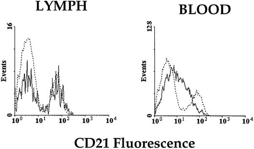 Fig. 6. Expression of CD21 on the surface of labeled (——) PBLs and (- - -) TDLs harvested from blood and lymph 3 to 18 days after intravenous injection. PBLs and TDLs migrating to efferent prescapular lymph show similar staining patterns. In contrast, CD21 expression is markedly higher on labeled TDLs later recovered from the peripheral blood than on labeled PBLs (representative data from 1 animal).