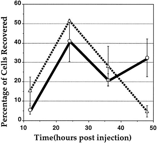 Fig. 8. Relative recovery of labeled peripheral blood B cells in efferent lymph 0 to 48 hours after intralymphatic injection. The total number of CD21− B cells was calculated by subtracting the number of labeled CD21+ cells from the number of labeled 2-8+ cells recovered at each time point. The percentage of total recovery of each subset at each time point was then calculated, and the results were pooled between experimental animals (mean of 4 animals ± SEM). (○) CD21+ B cells; (▵) CD21− B cells.
