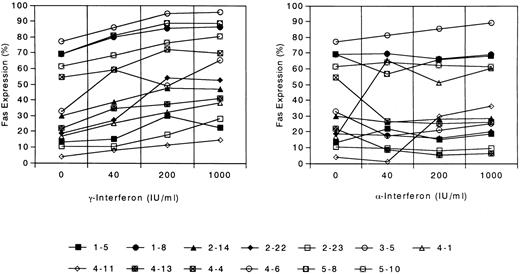 Fig. 2. Induction of Fas expression on leukemia cells after the incubation with interferon γ and interferon α at the concentration of 40, 200, and 1,000 IU/mL. Each symbol denotes one patient whose UPN is shown. UPN x-y; × represents the FAB classification of the patient.
