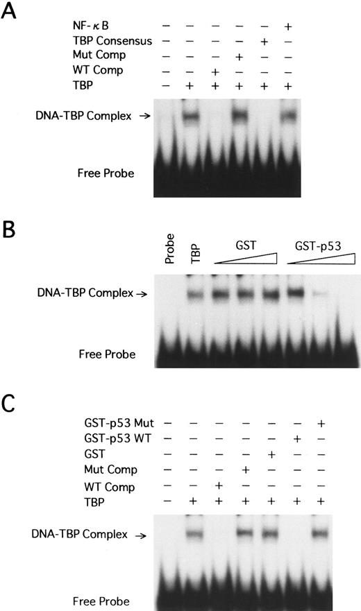 Fig. 7. EMSA using human TBP and HTLV-I LTR TATA region. (A) A labeled DNA fragment extending from −40 to −10 was used in binding reactions with TBP (1 FPU). Competition reactions were performed with excess amounts of the homologous (WT Comp, 250-fold) or heterologous (250-fold) competitors, including the HTLV-I LTR fragment with the TATAA-to-AGAAC 5-bp mutant TATA (Mut Comp), a TBP consensus oligonucleotide with a TATA box, and an NF-κB oligonucleotide. The TBP-TATA complex band (arrow) and unbound radiolabeled probe (Free Probe) are indicated. (B) The same probe as in A was incubated with TBP (1 FPU), GST, or GST-p53 wild-type at 3 levels: 50, 100, and 200 ng. (C) 200 ng GST, GST-p53 wild-type, or GST-p53 with a mutation at codon 135 (GST-p53 Mut) was incubated to reaction mixtures with TBP.
