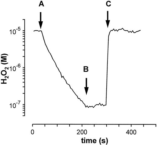 Fig. 1. Exponential decomposition of H2O2 by purified catalase. After the addition of purified erythrocyte catalase (kcat = 0.033 s−1) at (A) into a solution of H2O2 (10−5 mol/L) the typical exponential decay of H2O2 is observed. The addition of 1 mmol/L NaN3 (B) completely inhibits catalase as shown by a second application of H2O2 (C).