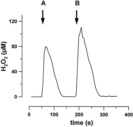 Fig. 2. Decomposition of H2O2 by purified erythrocyte GPO (0.02 U/mL). After two additions of H2O2 (A and B) no inhibition of GPO is observed at these low H2O2 concentrations.