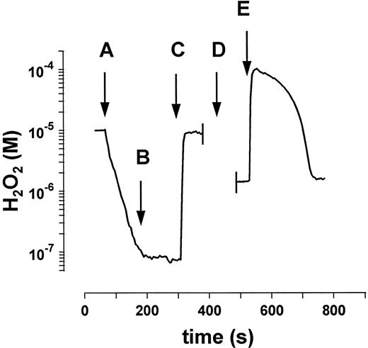 Fig. 4. Determination of GPO and catalase activity in a mixture of purified enzymes. (A) After the addition of enzyme mixture (GPO, 0.01 U/mL; catalase, kcat = 0.034 s−1) only the catalase-mediated H2O2 decay is observed. (B) Inhibition of catalase by 1 mmol/L NaN3 . (C) Second addition of 10−5 mol/L H2O2 shows complete inhibition of catalase. (D) Addition of 2 mmol/L GSH and recalibration of the measuring system (see Mueller et al25 ). (E) The GPO-mediated decomposition of H2O2 is observed after the addition of 10−4 mol/L H2O2 . These experiments were performed with GPO activities higher than those in erythrocytes with respect to catalase to improve the kinetic characterization of both enzymes.