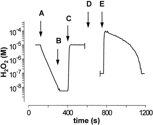Fig. 5. Determination of GPO and catalase activity in human hemolysate. The same procedure is applied as shown in Fig 4. (A) Addition of highly diluted hemolysate (9.4 × 10−2 g Hb/L). (B) Inhibition of catalase by 1 mmol/L NaN3 . (C) Second addition of 10−5 mol/L H2O2 . (D) Addition of 2 mmol/L GSH and calibration of the measuring system. (E) Addition of 10−4 mol/L H2O2 . A 10-fold higher concentrated hemolysate was used (for D to E) to better characterize the GPO-mediated decomposition of H2O2 .