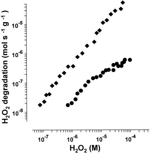 Fig. 6. H2O2 decomposition rate of catalase and GPO in human hemolysate as a function of H2O2 concentration. Data are from a representative experiment. Degradation rate of H2O2 is related to gram hemoglobin.
