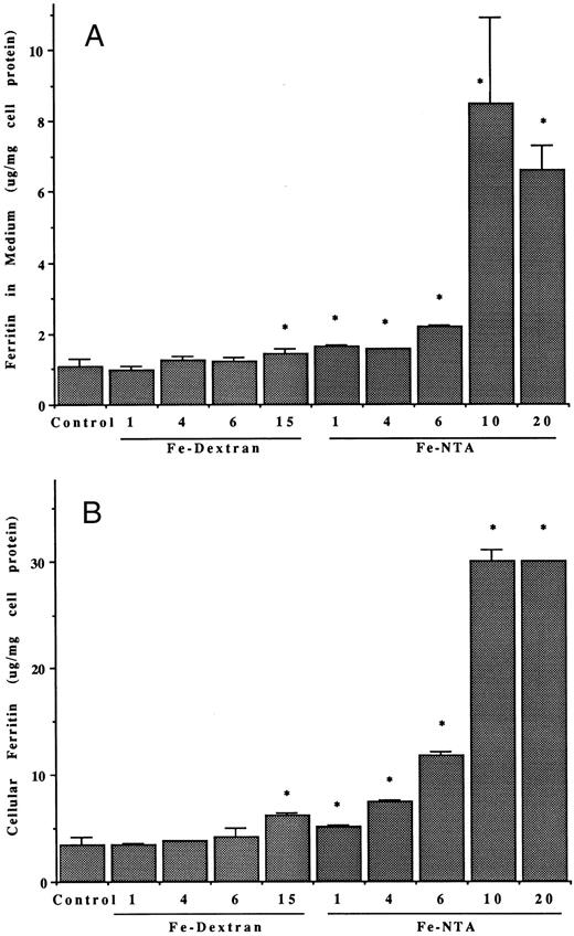 Fig. 3. Effects of varying doses and types of iron on released and intracellular ferritins of hepatoma cells. (A and B) Ferritin concentrations in the medium (A) and in the hepatoma cells (B) after 48 hours, with and without (control) treatments with different doses of iron (during that period) in the form of Fe-dextran (Imferon; 1, 4, 6, and 15 μg Fe/mL) or the 1:1 complex of Fe(III) with nitrilotriacetate (Fe-NTA; 1, 4, 6, 10, and 20 μg Fe/mL). Data are means ± SD for 3 to 6 determinations (flasks), as microgram of protein per milligram of cell protein. Asterisk (*) indicates increases that are statistically significant (P < .01) by t-test, in comparison with the control. (C) LDH activity in the medium from cells untreated (control) or treated with 4, 10, 15, or 20 μg/mL doses of iron (Fe-NTA), ± brefeldin A (4 μg/mL), for 48 hours. After the control, under successive bars (from left to right) are the results at a given iron dose (for example, 4 μg Fe/mL) followed by the same, but also treated with BFA. The only significant change in LDH was with the highest dose of Fe-NTA (asterisk; P < .01).