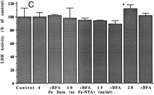 Fig. 3. Effects of varying doses and types of iron on released and intracellular ferritins of hepatoma cells. (A and B) Ferritin concentrations in the medium (A) and in the hepatoma cells (B) after 48 hours, with and without (control) treatments with different doses of iron (during that period) in the form of Fe-dextran (Imferon; 1, 4, 6, and 15 μg Fe/mL) or the 1:1 complex of Fe(III) with nitrilotriacetate (Fe-NTA; 1, 4, 6, 10, and 20 μg Fe/mL). Data are means ± SD for 3 to 6 determinations (flasks), as microgram of protein per milligram of cell protein. Asterisk (*) indicates increases that are statistically significant (P < .01) by t-test, in comparison with the control. (C) LDH activity in the medium from cells untreated (control) or treated with 4, 10, 15, or 20 μg/mL doses of iron (Fe-NTA), ± brefeldin A (4 μg/mL), for 48 hours. After the control, under successive bars (from left to right) are the results at a given iron dose (for example, 4 μg Fe/mL) followed by the same, but also treated with BFA. The only significant change in LDH was with the highest dose of Fe-NTA (asterisk; P < .01).