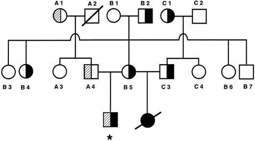 Fig. 3. Pedigree of family 1. Filled areas denote the nt 1091 mutation. Shaded areas denote the nt 1529 mutation. *Proband.