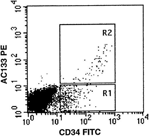Fig. 1. AC133 expression on fetal liver cells. Fetal liver mononuclear cells were stained with AC133PE (vertical axis) and CD34FITC (horizontal axis) as described. CD34bright/AC133+ cells are seen in region R2. The gates R1 and R2 are representative of those used in selection of bone marrow CD34/AC133 subpopulations for in vitro colony assays.