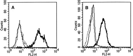 Fig. 2. Flow cytometric staining of (A) retinoblastoma cell line WERI-Rb-1 and (B) teratocarcinoma cell line NT2 with PE-conjugated antibodies. Solid line, IgG1 control; dashed line, QBEnd10 (CD34); bold line, AC133. All three antibodies were isotype IgG1.