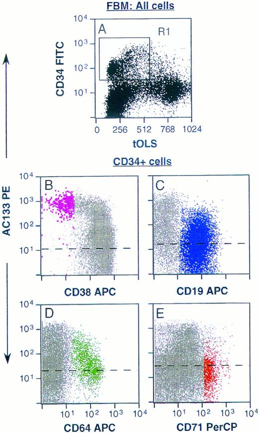 Fig. 3. Staining of FBM cells with AC133. Ammonium chloride–lysed FBM cells were labeled with AC133 and goat anti-mouse PE, followed by staining with CD34FITC (A through E) and CD38APC and CD50PerCP (B), or CD19APC (C), or CD64APC and CD71PerCP (D and E). (A) Unfractionated FBM cells. (B through E) Staining of CD34+ cells only, gated from region R1 in A. Noncommitted progenitor cells (CD34hiCD38loCD50+ ) are represented by enlarged violet dots in B, and lymphoid committed progenitors (CD34+CD19+ ) are depicted in blue in C. Granulomonocytic committed progenitors (CD34+CD64+ ) are represented by green dots in D, and erythroid committed progenitors (CD34hiCD71hiCD64− ) are depicted in red in E. Dashed lines represent isotype control levels for each of the colored populations. tOLS, transformed orthogonal light scatter. The results are representative of 3 experiments.