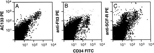 Fig. 4. Staining of ABM cells with AC133, CD117 (SCF-R), or anti-Flt3. Ammonium chloride–lysed ABM cells were labeled with AC133 (A) or anti-Flt3 (SF 1.340, B), or anti-SCF-R (104D2, C) and goat anti-mouse PE, followed by staining with CD34FITC. The results are representative of 2 experiments.