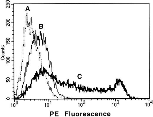 Fig. 3. Transfection of COS-7 cells with the AC133 gene confers expression of AC133 antigen. COS-7 cells were transfected with AC133 antigen cDNA or with irrelevant CD8 cDNA and stained with AC133-PE after 48 hours of culture. (A), AC133 antigen–transfected COS stained with irrelevant isotype control; (B), CD8-transfected COS stained with AC133-PE; (C), AC133 antigen–transfected COS stained with AC133-PE. COS cells transfected with the irrelevant CD8 cDNA were nonreactive with AC133-PE, and AC133 antigen–transfected cells were nonreactive with a PE-conjugated isotype control.