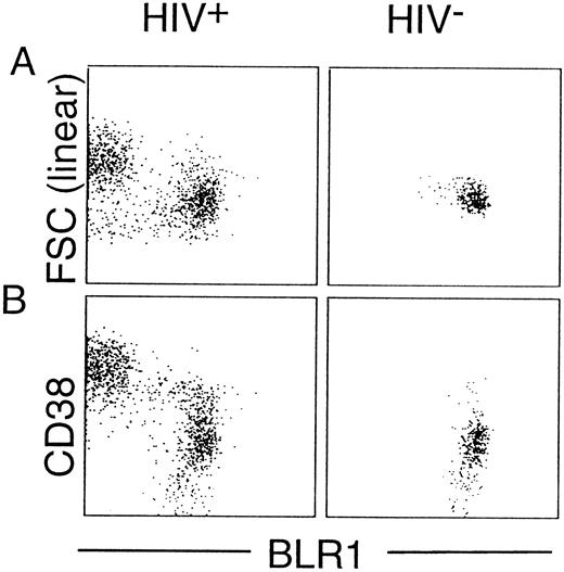 Fig. 4. Characterization of BLR1− B cells. PBL were incubated with CD19-PE, BLR1-biotin/strepavidin-cychrome, and FITC-conjugated CD38 MoAb. CD19+ cells were gated and analyzed. If not indicated otherwise, the horizontal and vertical scales are log 10 antibody fluorescence intensities. Lymphocyte forward scatter intensity (FSC) reflects cell size. Representative experiments from an HIV+ (WR5) and an HIV− individual are shown.