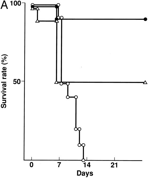 Fig. 2. Prevention of lethal acute GVHD by KB-R7785. Lethal acute GVHD was induced by IV injection of B6 splenocytes into CBF1 mice on days 0 and 7. Ten mice in each group received IP 2 mg of KB-R7785 in 0.5% CMC (•) or 0.5% CMC (○) every day from day 0 to 20 or 0.5 mg anti-TNF MoAb (▵) on days 0 and 7. Survival (A) was monitored every day until day 28. Body weight (B) was measured at the indicated days and is indicated as the mean ± SD of 5 to 10 mice. In (B), the body weight of age-matched normal CBF1 (⋄) is also plotted.