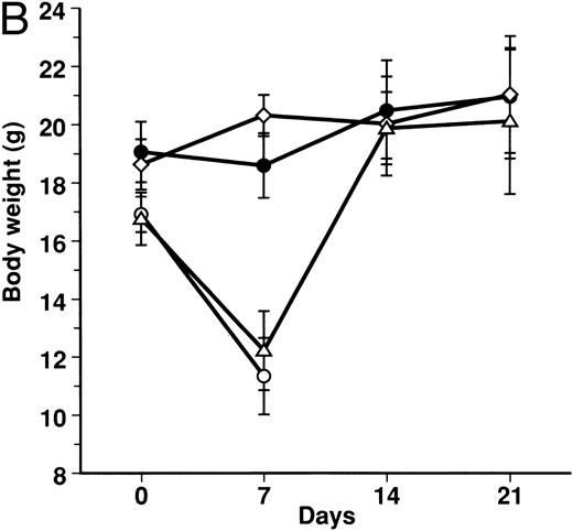 Fig. 2. Prevention of lethal acute GVHD by KB-R7785. Lethal acute GVHD was induced by IV injection of B6 splenocytes into CBF1 mice on days 0 and 7. Ten mice in each group received IP 2 mg of KB-R7785 in 0.5% CMC (•) or 0.5% CMC (○) every day from day 0 to 20 or 0.5 mg anti-TNF MoAb (▵) on days 0 and 7. Survival (A) was monitored every day until day 28. Body weight (B) was measured at the indicated days and is indicated as the mean ± SD of 5 to 10 mice. In (B), the body weight of age-matched normal CBF1 (⋄) is also plotted.