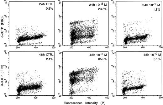 Fig. 4. Detection of apoptosis-associated DNA strand-breaks by in situ TdT assay in WSU-CLL cells. The cells were either untreated (CTRL) or exposed to melarsoprol for 24 and 48 hours, respectively. The dots represent the distribution of individual cells with respect to their b-dUTP incorporation and DNA content. The degree of b-dUTP complexes correlated with DNA strand-breaks per cell.