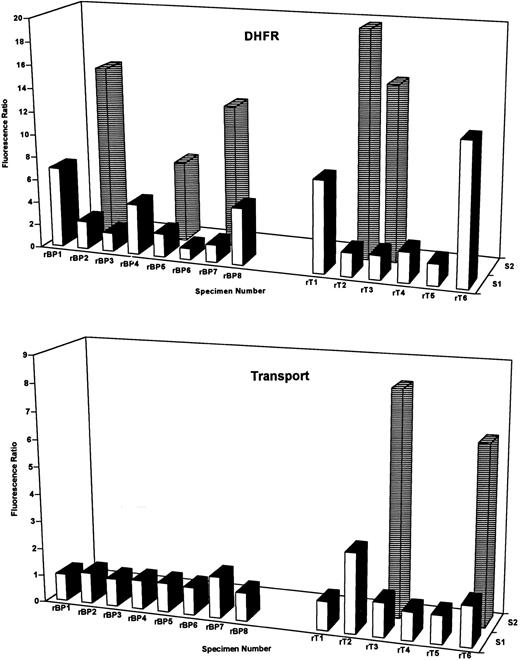 Fig. 5. DHFR content and Mtx transport-impairment in T-ALL and B-precursor ALL blasts at relapse. DHFR (top panel) and Mtx transport-impairment (lower panel)were assayed in 8-relapsed B-precursor (designated rBP) and 6 relapsed T-cell (rT) blast specimens by PT430 and flow cytometry. Data are plotted as the relative fluorescence ratios versus patient numbers for one or two separate blast subpopulations (designated S1 and S2) as for Figs 2 and 3. Patient characteristics and percentages for the fluorescent DHFR subpopulations are noted in Table 3. The percentages of the total blasts in relapsed T-cell samples 3 and 6 with impaired MTX transport were 73% and 10%, respectively. As described in Materials and Methods, normal DHFR (fluorescence ratios of 1.6 to 2.4) and Mtx transport (ratio of 1.0 to 1.2) were defined by 5 patients (BP6, 8, 13, 30, and 31 in Table 1) who survived at least 5 years without relapse. Experimentally measured parameters in excess of these ranges were considered elevated or impaired, as appropriate.