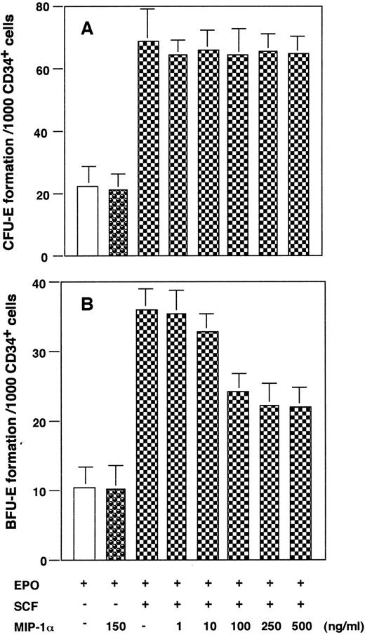Fig. 3. Effects of MIP-α on CFU-E (A) and BFU-E (B) formation by CD34+ BMMNCs. The purified CD34+ BMMNCs were plated in a methylcellulose medium containing growth factor(s), with or without indicated concentrations of recombinant human MIP-α. The number of CFU-E and BFU-E was determined at day 7 and day 14 of culture, respectively. The data are representative of three independent experiments with quadruplicate determinations.
