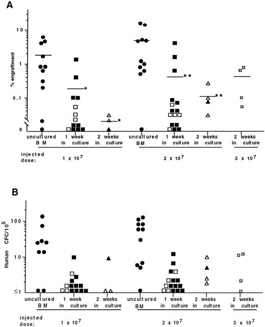 Fig. 2. Summary of DNA analysis (A) and frequency of human CFC (B) in the BM of NOD/SCID mice receiving transplants of freshly isolated BM cells and those isolated after 1 and 2 weeks of culture on stroma. Each symbol represents the level of engraftment (A) or CFC concentration (B) in a single mouse. Solid symbols represent mice receiving transplants of cultured cells treated with trypsin. Open symbols represent mice receiving transplants of cells treated with CDB. The horizontal lines indicate the mean level of engraftment. *Statistically significant differences (P < .05) in the mean levels of engraftment in mice injected with 10 × 106 cells cultured for 1 and 2 weeks compared with fresh BM cells. **Statistically significant differences in the mean levels of engraftment in mice injected with 20 × 106 cells after 1 and 2 weeks of coculture (P < .01 and P < .05, respectively) compared with 20 × 106 uncultured BM cells.