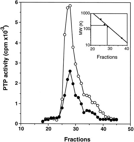 Fig. 3. Purification on a Superose 12 column. Fractions no. 41 through 43 from the mono-Q column (see Fig 2) were combined, concentrated, and loaded onto a Superose 12 column. PTP activity of fractions from normal (•) and PV (○) samples represents the data obtained from 2 μL of each 0.5-mL fraction eluted from the column and assayed with 32P-labeled ENDYINASL as a substrate. The inset represents the calibration of the Superose 12 column with standard molecular weight markers (apoferritin, 443,000; b-amylase, 200,000; alcohol dehydrogenase, 150,000; and carbonic anhydrase, 29,000). The PTP activity peaked at fraction 27.25, which corresponded to 170 kD based on linear regression analyses. A representative figure from three experiments with similar results is shown. Each experiment was performed with blood samples from different normal volunteers and PV patients.
