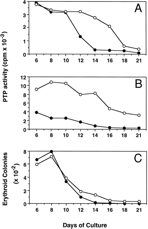 Fig. 5. Kinetic changes of PTP activities in cytosolic (A) and membrane (B) fractions and erythroid colony number (C) from normal (•) and PV (○) ECFC. Cells were collected at the indicated periods of suspension culture. Preparation of cytosolic and membrane extracts and assays of colony formation were performed as described in Materials and Methods. Cell extracts containing 2.0 μg total proteins were used to measure PTP activity with 32P-labeled ENDYINASL, and 1,000 cells were analyzed for colony formation in plasma clot cultures.