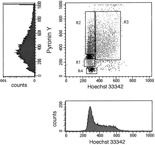 Fig. 1. Dot plot and single parameter histograms of a typical Hoechst 33342 (X axis) and Pyronin Y (Y axis) staining of bone marrow CD34+ cells. CD34+ cells were first sorted to homogeneity, then stained with Hst and PY as described in Materials and Methods. The single parameter histograms are shown here to elucidate the contribution of each stain to the formation of the dot plot. The DNA/RNA staining shown in this figure was derived from a cultured (7 days with SCF, IL-3, and IL-6) BM sample of CD34+ cells to elaborate the S/G2 + M population for better definition of all three phases of cell cycle. Sort windows R1, R2, and R3 shown in the dot plot represent the windows used to collect G0 , G1 , and S/G2 + M cells, respectively. R4 designates the area in such a dot plot where dead cells are located.