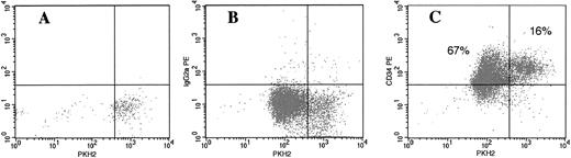 Fig. 3. Cell tracking in vitro of cultured bone marrow G0CD34+ cells using the membrane dye PKH2. G0CD34+ cells were isolated, stained with PKH2, and cultured in IMDM containing 10% FCS in the presence of SCF, IL-3, and IL-6 for 7 days. A sample fixed in 1% paraformaldehyde on day 0 (A) was used to identify the fluorescence intensity corresponding to freshly stained cells. On day 7, cells were harvested and stained with either a PE-conjugated isotype control monoclonal antibody (B) or PE-conjugated CD34 (C). Samples were analyzed for PKH2 (X axis) and PE (Y axis) fluorescence to estimate the fraction of CD34+ cells remaining as CNR cells. As can be seen in C, 83% of cultured cells remained CD34+, and 16% could be identified as CNR cells.