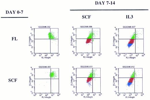 Fig. 6. Definition of phases II, III, and IV of G0CD34+ cells in two-dimensional tracking experiments using sequential cytokine stimulation. Sorted cells were stained with PKH2 on day 0 and maintained with either FL or SCF for the first 7 days of culture. On day 7, cells were washed and stained with PKH26 (two dot plots on the left). After that, cells were split and cultured with different cytokines as indicated to the right. Cells traversing to the upper left hand corner were identified as phase II cells (see Fig 5). Cells receiving SCF as the secondary stimulus (middle column) were capable of few additional divisions only and, therefore, defined phase III cells. For ease of distinction, phase III cells were colored red. When cultured cells received IL-3 for a secondary stimulus (right two dot plots), few additional divisions beyond phase III were demonstrable. Cells capable of proliferating six or more times (see Fig 5) defined phase IV cells. For ease of distinction, phase IV cells were colored in blue. Dot plots used for this illustration were from the same experiment depicted in Fig 7.