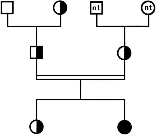 Fig. 3. Family tree of patient HS. (□) Normal individual; (╞, ◑) heterozygous for GT; (•) homozygous for GT; nt, not tested. The parents of the propositus are first cousins. Consanguinity is indicated by a double line.
