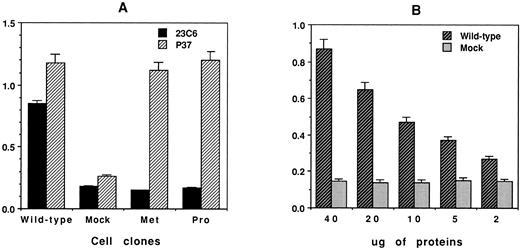Fig. 8. Detection of free and complexed β3 antigen in CHO cells transfected with wild-type or mutant β3 cDNA. A microtiter plate was precoated with 0.6 μg/100 μL of goat antimouse IgG before the addition of either anti-β3 MoAb P37 or anti-αvβ3 MoAb 23C6. The plate was then incubated with transfected CHO cell lysate (50 μg protein). The captured β3 antigen in the wells was detected by the addition of human anti–HPA-1a IgG alloantibodies, and anti–HPA-1a binding was quantitated using peroxidase-labeled goat antihuman IgG according to established ELISA methodology. The optical density (OD) was measured at 490 nm. (A) Quantitation of free versus complexed β3 antigen in CHO cells transfected with β3-wt, β3-met, and β3-pro. (B) Titration curve demonstrating the sensitivity of the ELISA assay with MoAb 23C6 used for the detection of αvβ3 complexes in CHO β3-wt cell lysate.