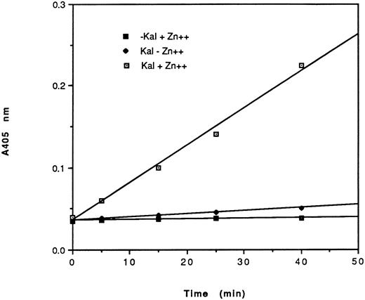 Fig. 3. Amidolytic activity of HUVEC-bound kallikrein. HUVEC were incubated with 70 nmol/L HK in the presence (⊡, ▪) or absence (♦) of 50 μmol/L Zn2+. After washing, cells were further incubated in the presence (⊡, ♦) or absence (▪) of 10 nmol/L kallikrein. After additional washes, the amidolytic activity of cell-bound kallikrein was determined using S2302 (0.4 mmol/L). The data shown are from a single experiment run in triplicate of a total of three experiments. HEPES-BSA containing ZnCl2 (50 μmol/L) was used as the washing and assay buffers.