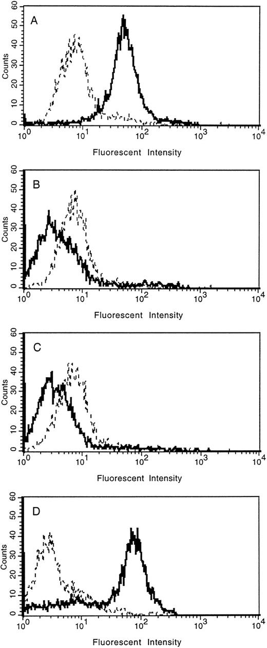 Fig. 5. FACS analysis of tie expression on HUVECs treated with PMA. HUVECs in 100-mm dishes were left untreated (A), or treated with PMA for 30 minutes (B), 2 hours (C), or overnight (D). Cells were harvested with EDTA at 4°C and incubated with either control IgG (- - -) or anti-tie MoAb 42G10 () in PBS containing 1% BSA. FACS analysis was performed as described in Materials and Methods.
