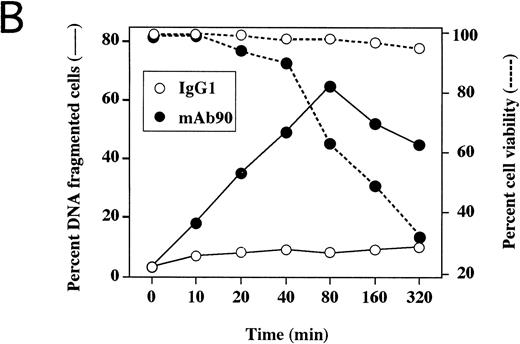 Fig. 3. MoAb90 induces apoptosis of CD40-activated B cells. Resting or 5-day CD40-activated B cells were cultured in the presence of 5 μg/mL control IgG1, MoAb90, W6/32, TP25-99, and 1 μg/mL anti-Fas MoAb CH11. (A) Cells were collected after 2 hours of treatment with the different MoAbs, and incorporation of dUTP-FITC was measured by TUNEL assay as described in Materials and Methods. Each histogram represents 104cells and percentage of apoptotic cells are indicated above to the histogram profiles. (B) Kinetics of MoAb90-induced B-cell apoptosis are as follows: 5 μg/mL of control IgG1, W6/32, TP25.99, and MoAb90 were added to the cultures, and the percentage of DNA fragmented cells was measured by TUNEL assay after the indicated time. In parallel, the percentage of cell viability was measured by trypan blue dye exclusion after treatment with MoAb90 at 5 μg/mL for indicated time. Results represent average of duplicate determinations. This figure is representative of three independent experiments. (C) Cells were collected after 12 hours of treatment with the different MoAbs and DNA from 2 × 106 cells was run on 2% agarose gel and stained with ethidium bromide.