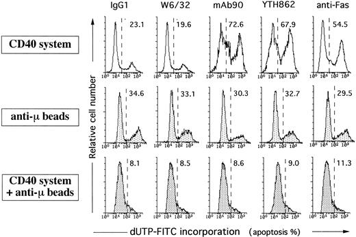 Fig. 6. BCR-dependent B-cell activation antagonizes HLA class I-mediated apoptosis. Naive B cells were cultured on irradiated CD32-L cells in the presence of 1 μg/mL anti-CD40 MoAb alone, 5 μg/mL anti-BCR MoAb alone, or the combination of both. After 5 days of culture, cells were collected, treated by 5 μg/mL control IgG1, W6/32, MoAb90, YTH862, or 1 μg/mL anti-Fas MoAb CH11 for 2 hours and then the percentage of DNA fragmented cells was measured by TUNEL assay. Each histogram represents 104 cells and percentage of apoptotic cells are indicated above to the histogram profiles.