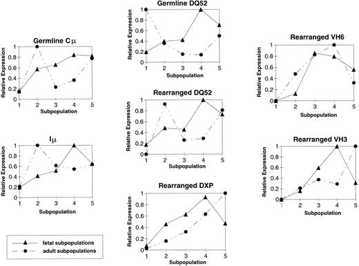 Fig. 5. Quantitation of RT-PCR IgH products in FBM and ABM. Shown are graphs depicting the average relative abundance of individual IgH transcripts detected in the fetal (N = 3) and adult (N = 2) subpopulations. (▴) Fetal samples. (•) Adult samples.