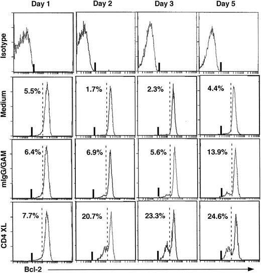 Fig. 1. Time course of Bcl-2 downmodulation after CD4 cross-linking. PBMC, treated as indicated, were cultured for 1, 2, 3, and 5 days. Cells were analyzed by flow cytometry for intracytoplasmic Bcl-2 expression in conjunction with surface staining with PE-labeled CD3 MoAb and per-CP–labeled CD45 MoAb. Broken and solid lines indicate the notch of the Bcl-2 downmodulation and the uppermost boundary of the isotype control, respectively. Percentages indicated in the figure are percentages of Bcl-2dim plus Bcl-2 negative cells (almost all were Bcl-2dim).