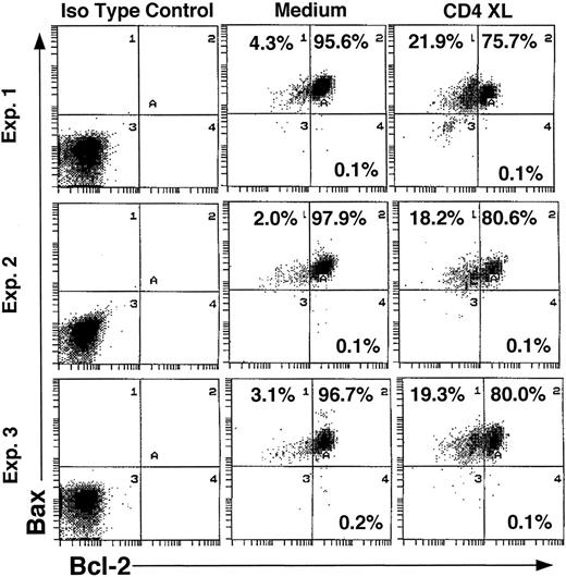 Fig. 3. Bax expression is unchanged in CD4 cross-linked PBMC. Intracytoplasmic staining of Bcl-2 and Bax was performed with surface CD3 staining on day 3. Three representative results of Bcl-2 and Bax expression in CD3+ T cells are demonstrated.