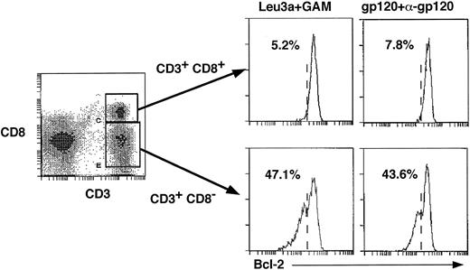 Fig. 4. Bcl-2 downmodulation by CD4XL in PBMC is restricted to CD4+ T cells. Intracytoplasmic Bcl-2 staining was performed on day 3 in combination with surface CD8 and CD3 staining in the CD4XL-PBMC. Histograms representing the Bcl-2 expression in (CD3+CD8+, and CD3+CD8-) gated populations are shown. The vertical line indicates the notch of the Bcl-2 downmodulation in CD3+CD8- cells.