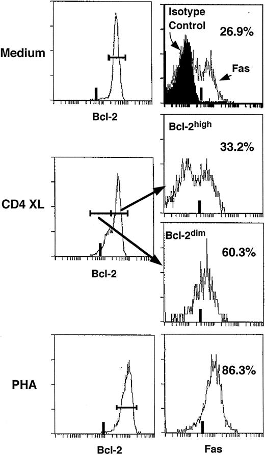 Fig. 5. Fas expression is increased in CD4XL-PBMC in the Bcl-2dim population. PBMC were treated with medium, Leu3a/GAM, or PHA for 3 days and intracytoplasmic Bcl-2 staining was performed in combination with surface Fas antigen and CD3 staining. Fas expression was evaluated separately in Bcl-2dim and Bcl-2high cells gated on the CD3+ cell population.