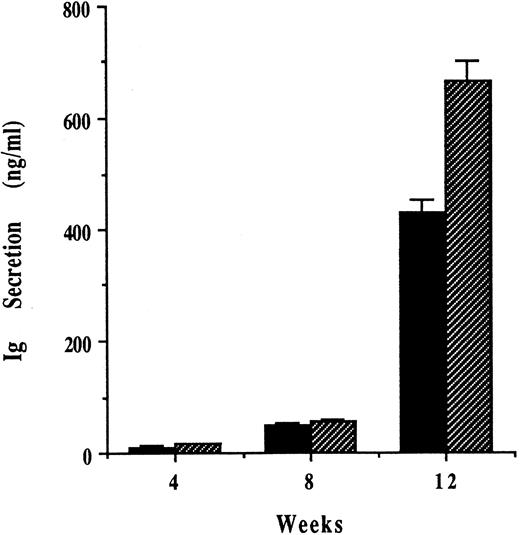 Fig. 4. Growth of human MM cells within SCID-hu mice triggers human monoclonal Ig secretion. ARH-77 and OCI-My5 MM cells were injected directly into the left human fetal bone implant in SCID-hu mice, and sera samples were taken from these mice 4, 8, and 12 weeks later. Human IgG (▪) in sera from mice injected with ARH-77 MM cells and human IgA (▧) in sera from mice injected with OCI-My5 MM cells were quantitated by ELISA.