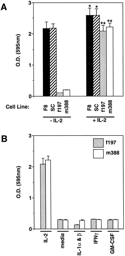 Fig. 3. MTT cell proliferation assay on LGL cell lines. (A) LGL cell lines were incubated with or without IL-2 and measured for their proliferation. As shown, the F8 and SC LGL cell lines have become independent of IL-2 for proliferation, but have retained their capability to respond to IL-2 (*P < .05). In contrast, the f197 and m388 cell lines are highly dependent on exogenous IL-2 for their proliferation (**P < .01). (B) The IL-2–dependent LGL cell lines, f197 and m388, were incubated with the cytokines found to be expressed in the peripheral tumor from which they were derived (IL-1α and IL-1β, IFNγ, and GM-CSF ) and examined for their proliferative effects. Incubation with IL-2 and media alone served as positive and negative controls, respectively. As shown, none of these cytokines was able to support the proliferation of these IL-2–dependent LGL cell lines.