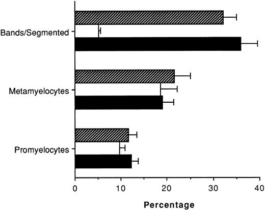 Fig. 6. Enhancement of banded/segmented neutrophils in bone marrow of SCH 14988-treated mice. BALB/cJ mice were treated with CY and SCH 14988 or vehicle as described in Fig 4 legend, and femoral bone marrow cells were prepared on day 6. Cells were placed on glass slides and stained with Wright-Giemsa before evaluation. Data are expressed as mean ± SEM and are representative of three separate experiments. ▪ indicates normal, age-matched control mice; □ indicates CY-treated, vehicle-treated mice; ▧ indicates CY-treated, SCH 14988-treated mice. The difference in the percentage of segmented neutrophils between the vehicle and SCH 14988 treatment groups is statistically significant at P < .001 as determined by the Students' t-test.